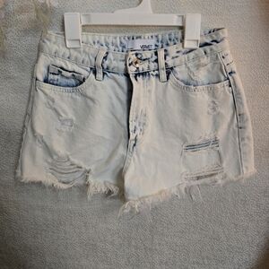 Vervet Distressed Denim Shorts